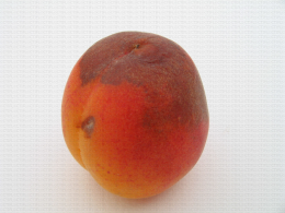 Abricot, tache de brulûre de l'épiderme due à une trop forte exposition au soleil